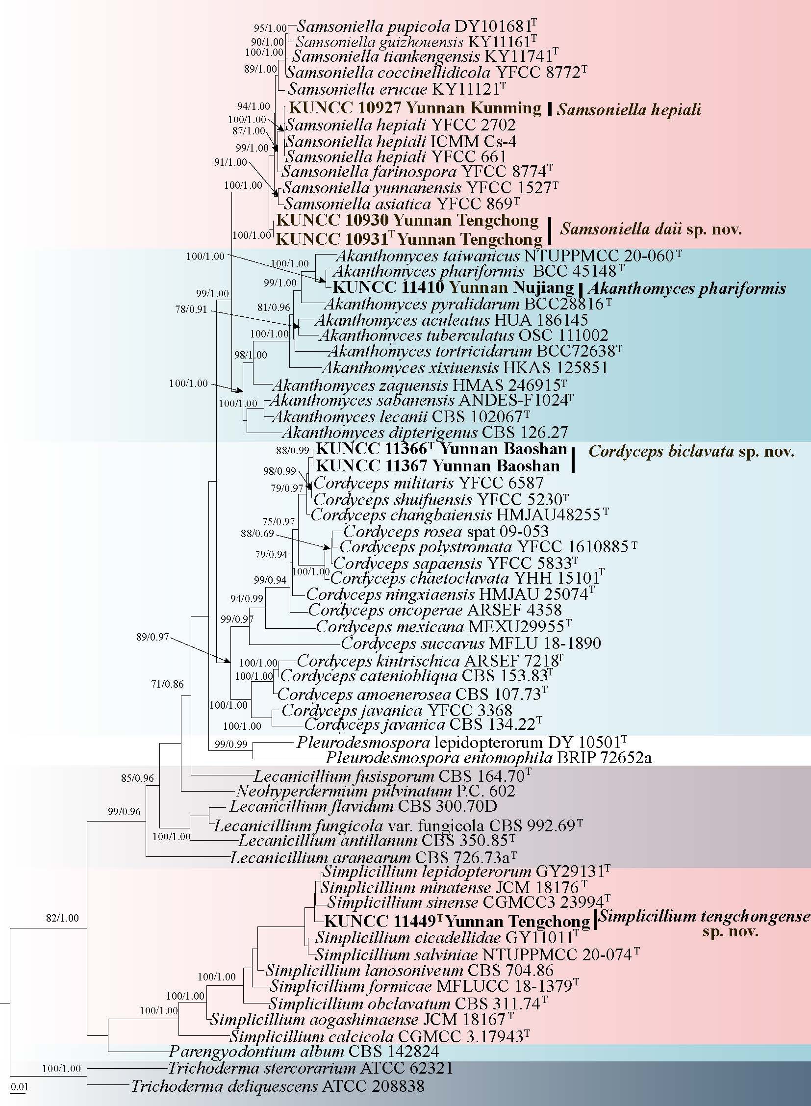 Figure 63